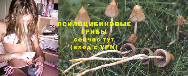 твердый Алексеевка