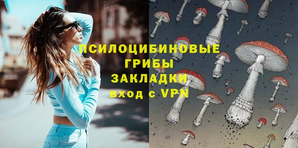 первитин Алексин
