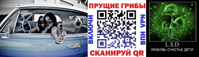 Галлюциногенные грибы ЛСД Южно-Сухокумск