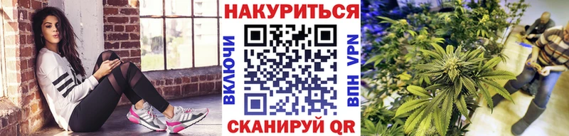 Бошки Шишки марихуана  купить   мега зеркало  Южно-Сухокумск 